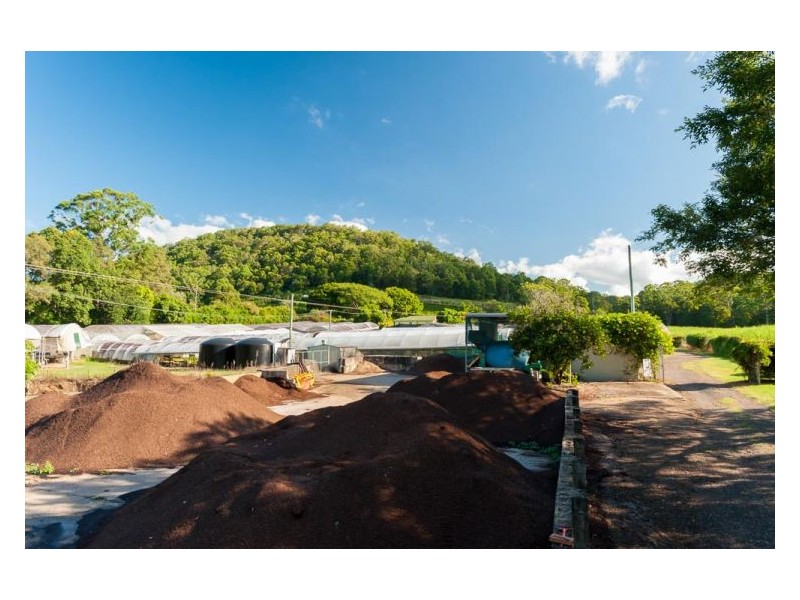 192 Yandina-Cooloolabin Road, Yandina QLD 4561