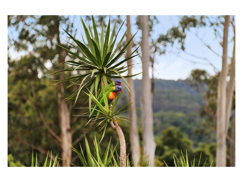 10 Lantana Lane, Mapleton QLD 4560