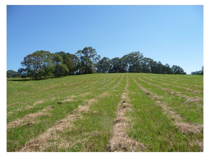 81 Pringle Road, Rosemount QLD 4560