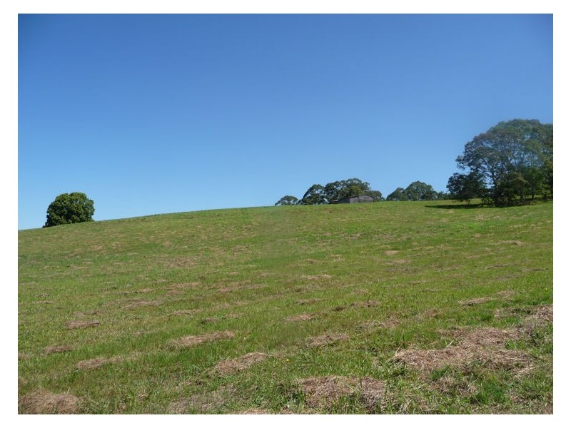 81 Pringle Road, Rosemount QLD 4560