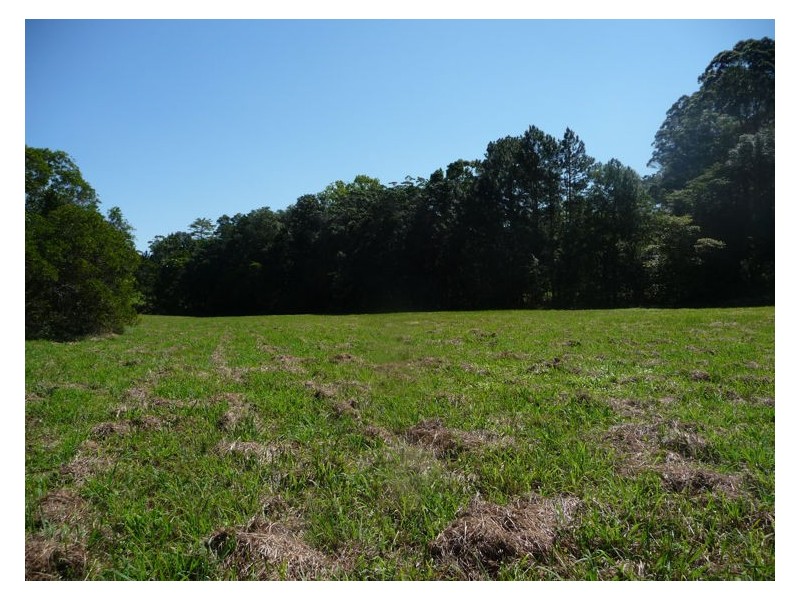 81 Pringle Road, Rosemount QLD 4560