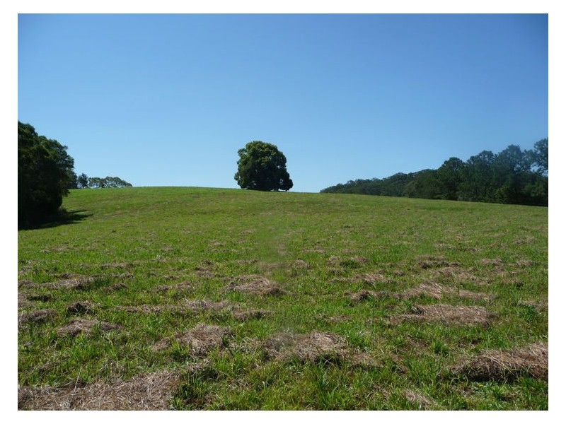 81 Pringle Road, Rosemount QLD 4560