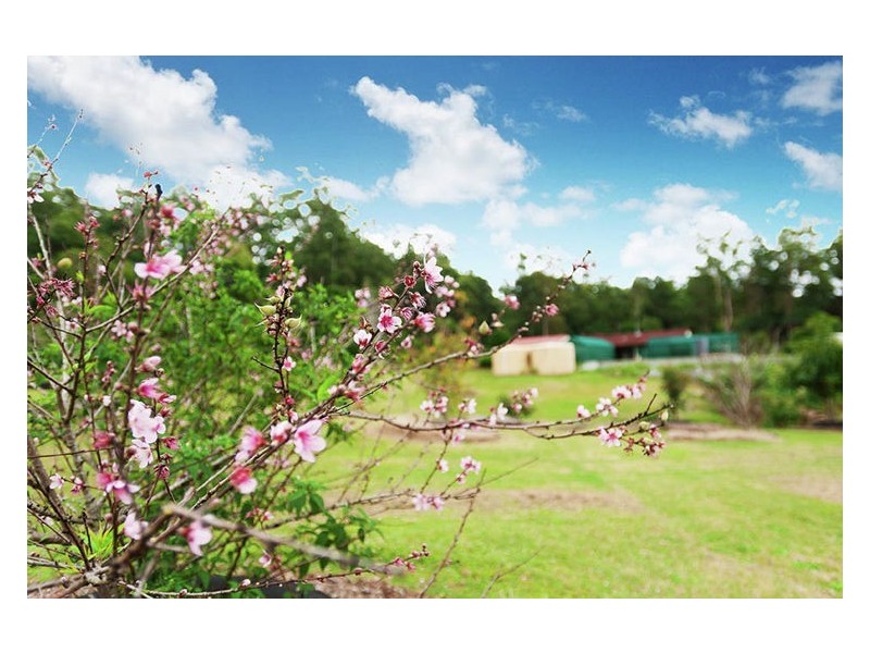 27 Amelia Place, Kureelpa QLD 4560
