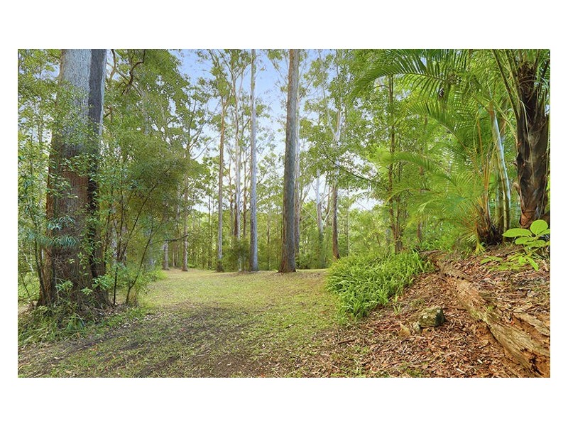 40A Image Flat Road, Nambour QLD 4560