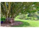 828 Yandina-Cooloolabin Road, Cooloolabin QLD 4560