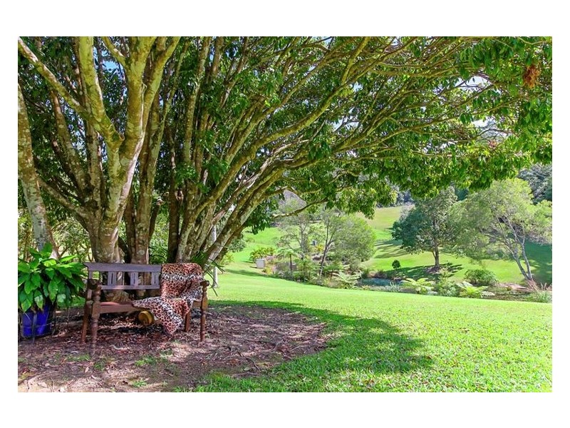 828 Yandina-Cooloolabin Road, Cooloolabin QLD 4560