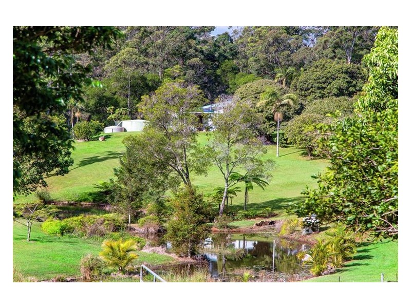 828 Yandina-Cooloolabin Road, Cooloolabin QLD 4560