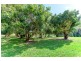828 Yandina-Cooloolabin Road, Cooloolabin QLD 4560