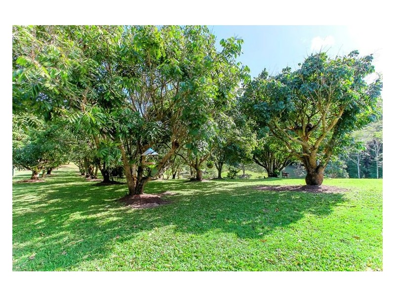 828 Yandina-Cooloolabin Road, Cooloolabin QLD 4560