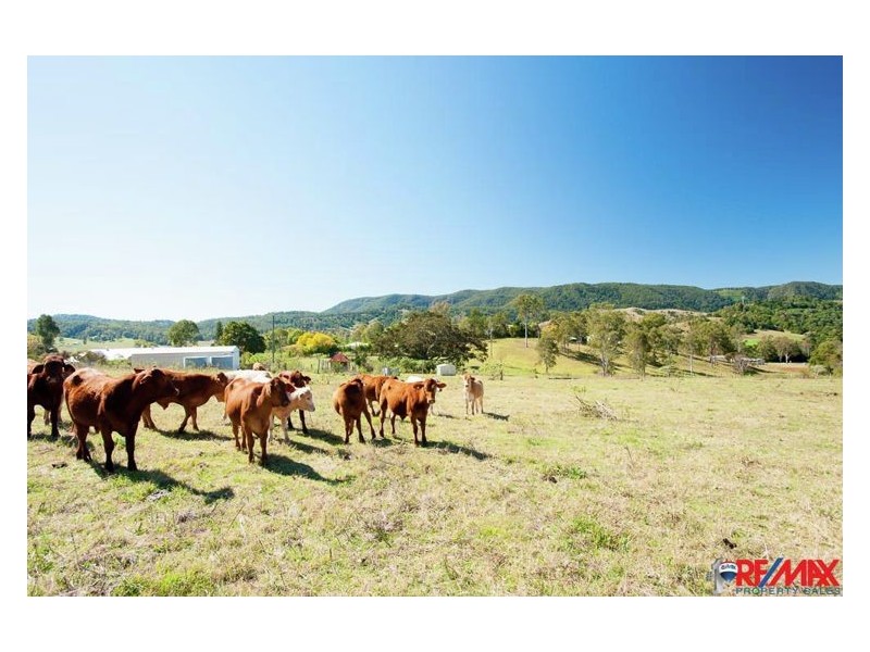 1728 Obi Obi Road, Kenilworth QLD 4574