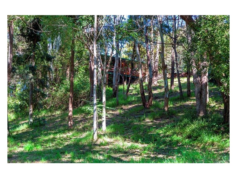 241 Obi Obi Road, Mapleton QLD 4560