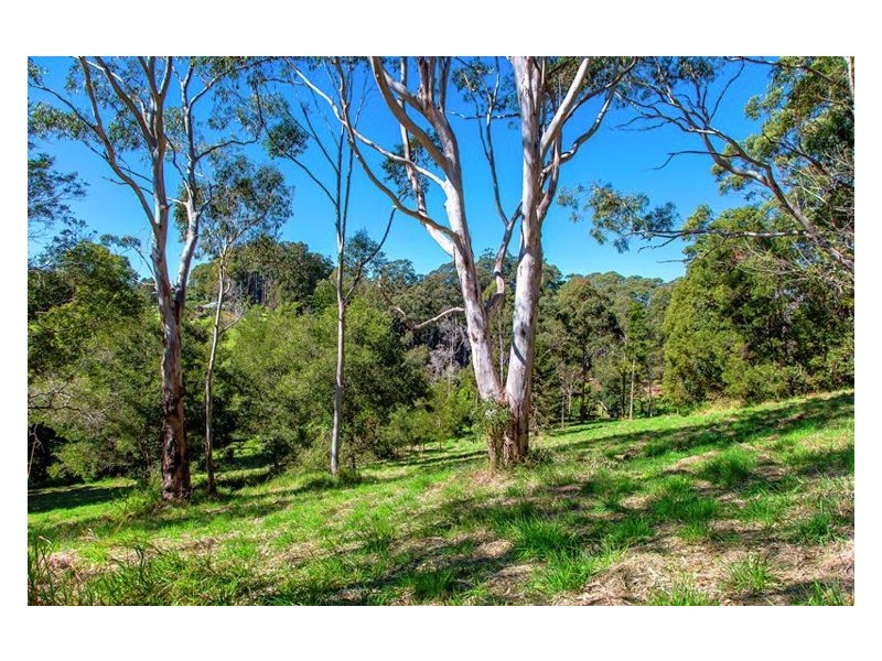 241 Obi Obi Road, Mapleton QLD 4560