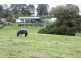 267 Dulong Road, Dulong QLD 4560
