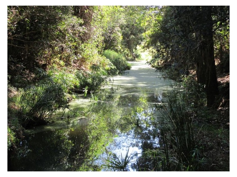 34 Collard Road, Mooloo QLD 4570