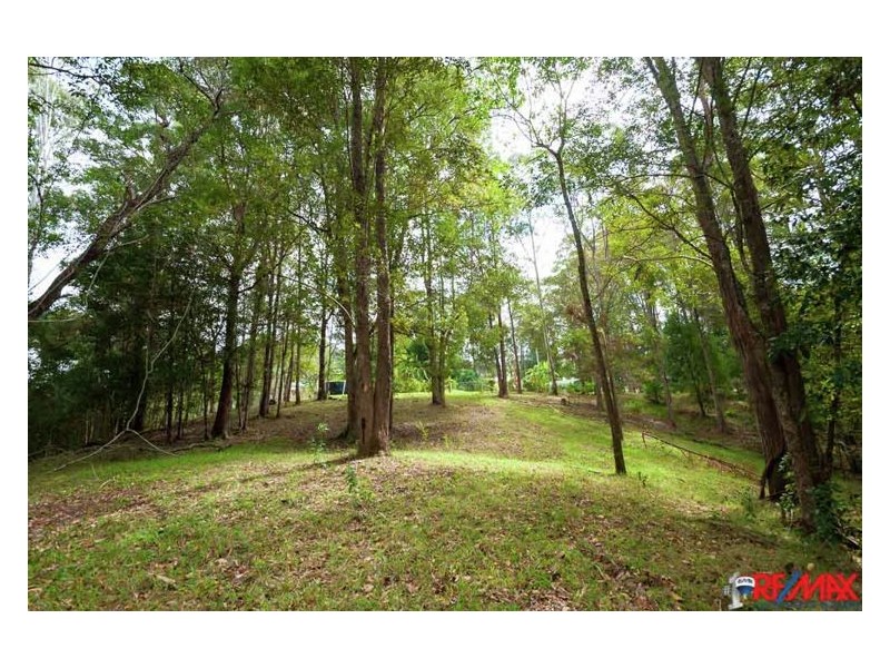 323 Palmwoods Montville Road, Palmwoods QLD 4555