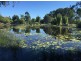 4 Flindersia Drive, Traveston QLD 4570