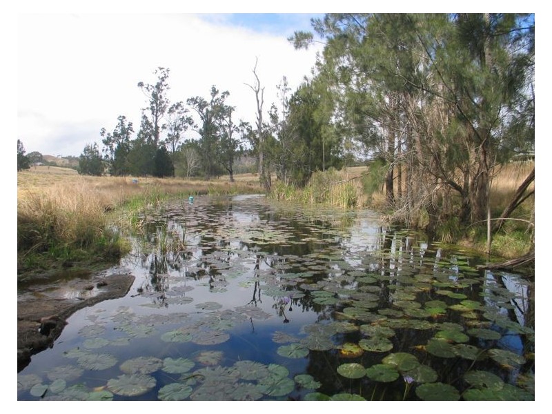 16 Conway Court, Glastonbury QLD 4570