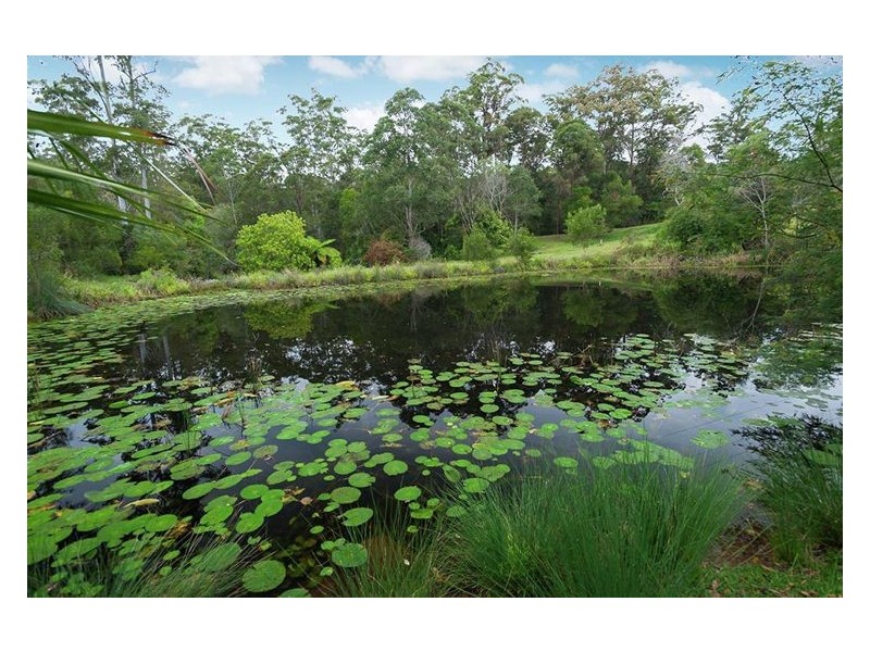 38 Tuckers Creek Drive, Nambour QLD 4560