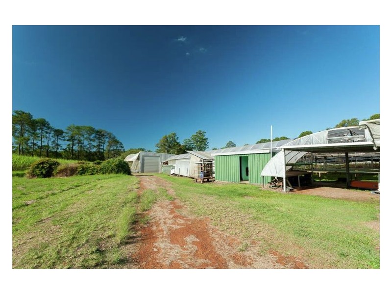 Yandina QLD 4561