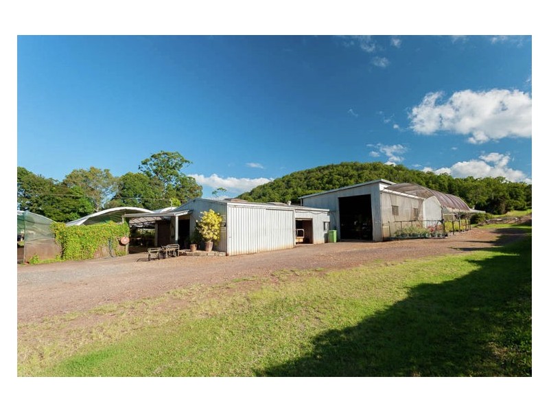 Yandina QLD 4561