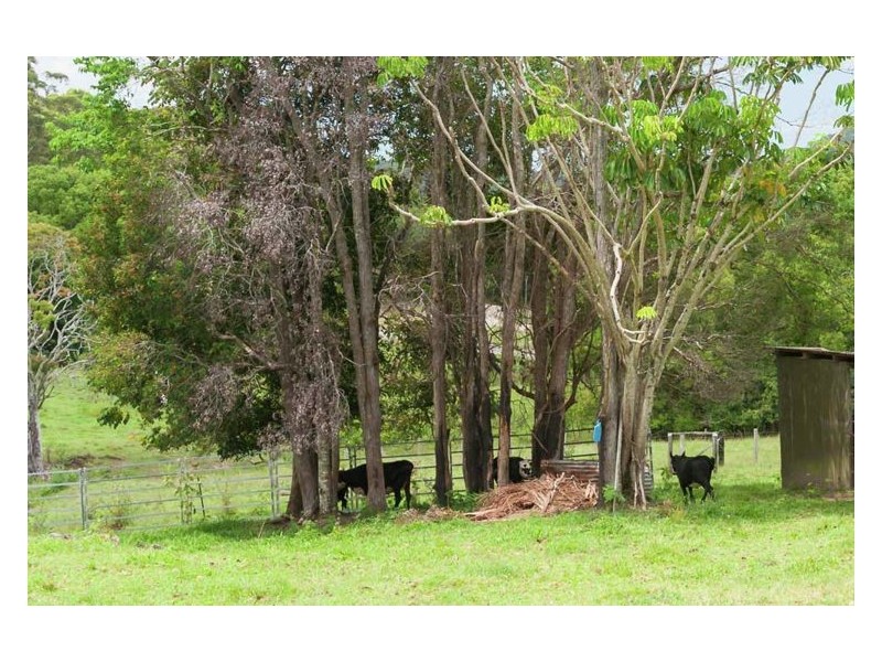 342 Image Flat Road, Image Flat QLD 4560