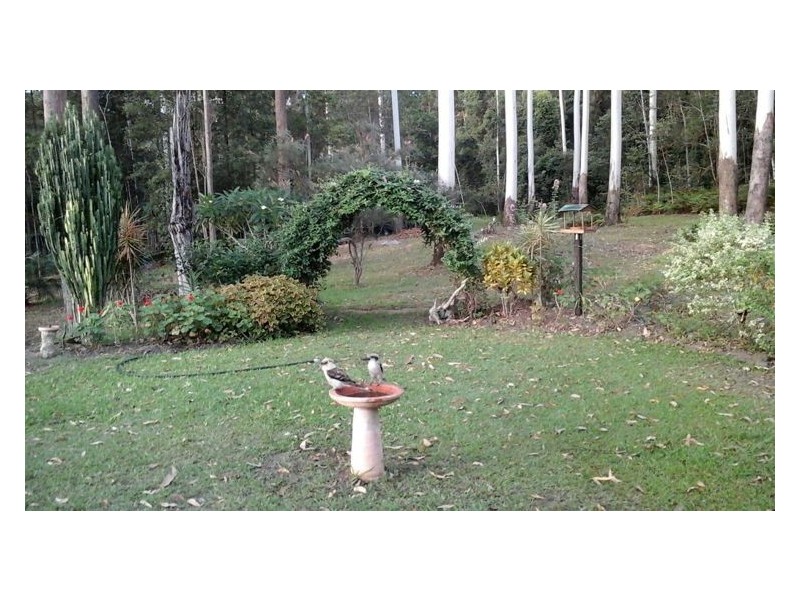 50 Cardinal Court, Palmwoods QLD 4555