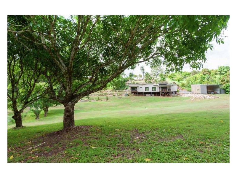11 Gibbs Court, Diddillibah QLD 4559