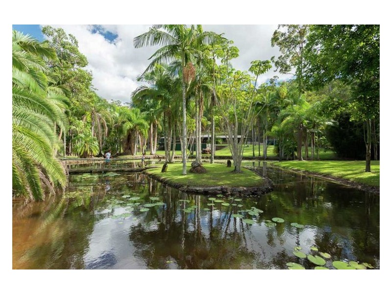 156 Creightons Road, Yandina QLD 4561