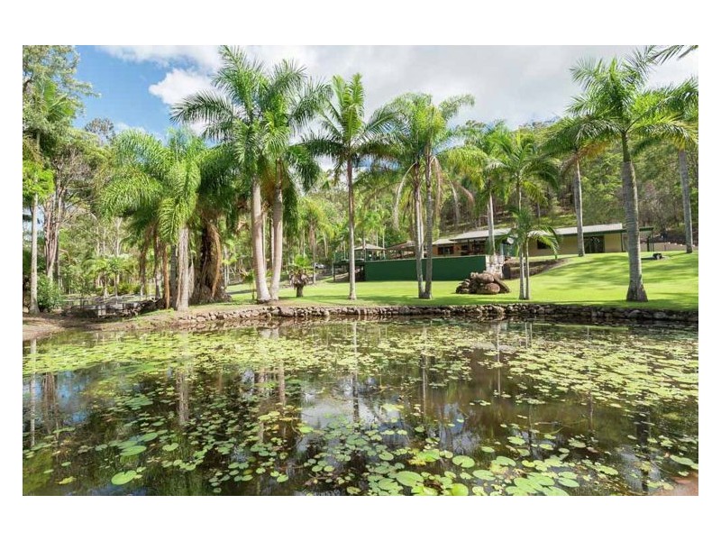 156 Creightons Road, Yandina QLD 4561