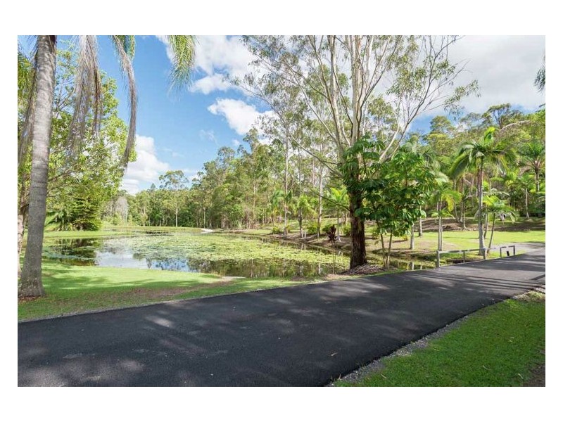 156 Creightons Road, Yandina QLD 4561