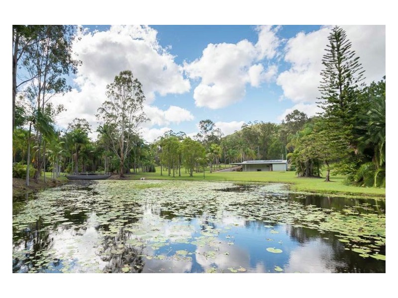 156 Creightons Road, Yandina QLD 4561