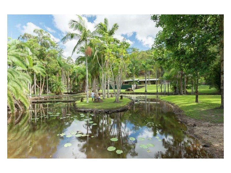 156 Creightons Road, Yandina QLD 4561