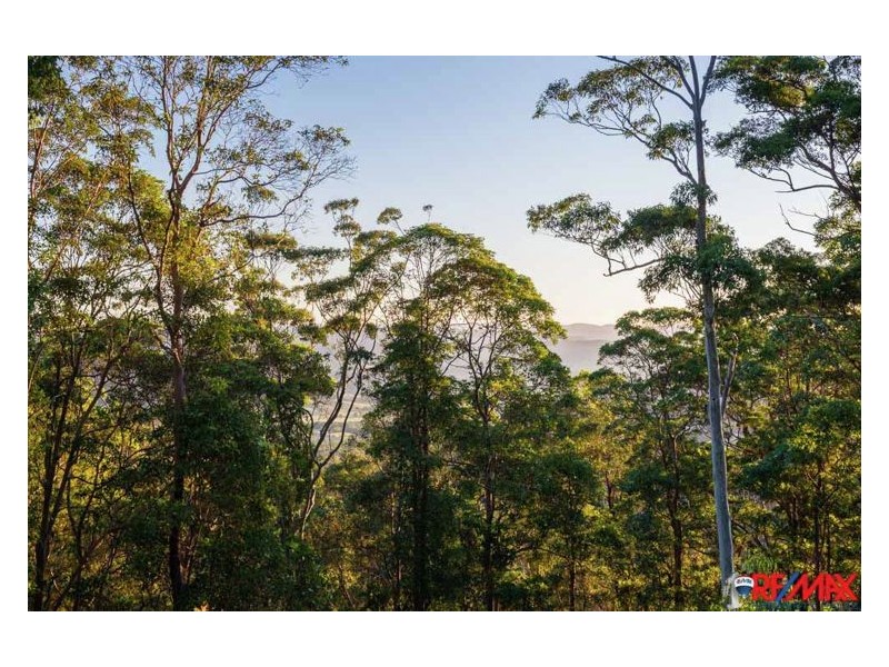 74 Mapleton Falls Road, Mapleton QLD 4560