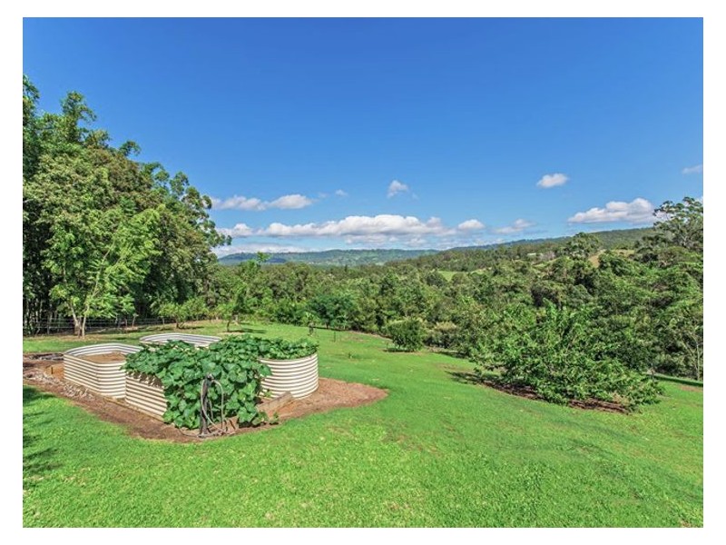 46 White Cedar Place, Woombye QLD 4559