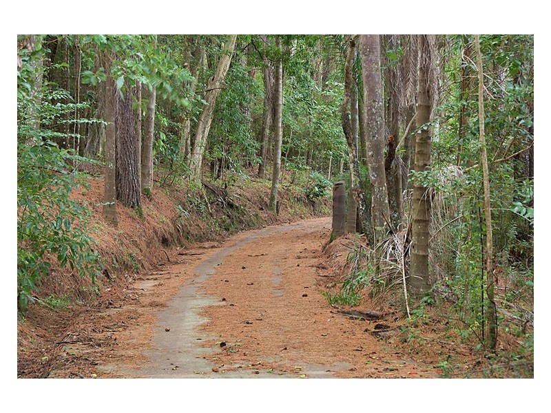 20 Rosemount Close, Rosemount QLD 4560