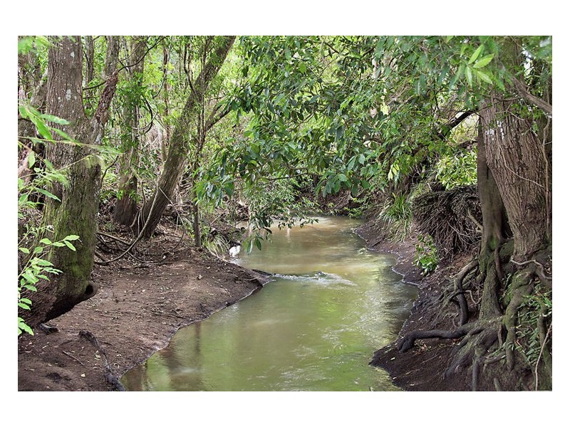 53 Spalls Road, Rosemount QLD 4560