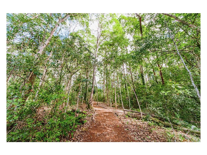 Platypus Creek Road, Dulong QLD 4560