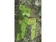 Platypus Creek Road, Dulong QLD 4560