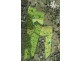 Platypus Creek Road, Dulong QLD 4560 Floorplan