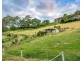 832 Nambour Mapleton Road, Mapleton QLD 4560