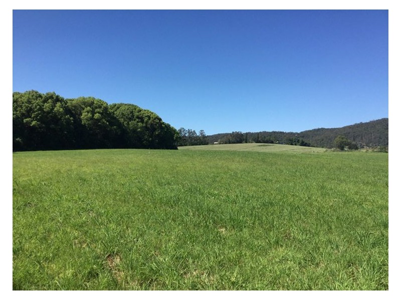 74 North Arm Yandina Creek Road, Yandina Creek QLD 4561