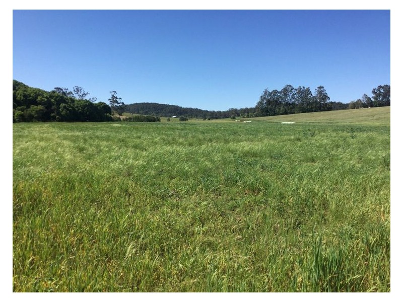 74 North Arm Yandina Creek Road, Yandina Creek QLD 4561