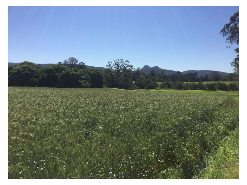 74 North Arm Yandina Creek Road, Yandina Creek QLD 4561