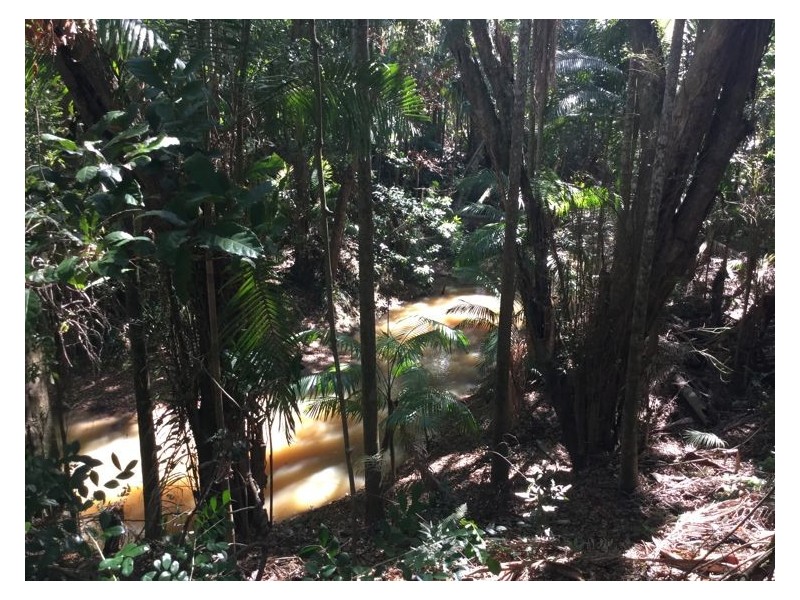 74 North Arm Yandina Creek Road, Yandina Creek QLD 4561