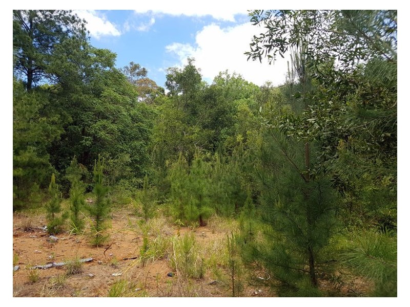 226 Petrie Creek Road, Rosemount QLD 4560