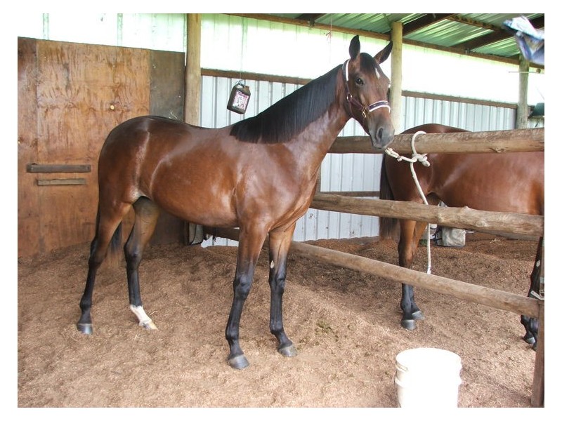 76 Kureelpa Falls Road, Kureelpa QLD 4560