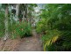 36 Old Kiel Mountain Road, Kiels Mountain QLD 4559
