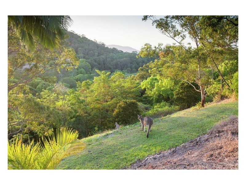 7 Eulinga Court, Ninderry QLD 4561