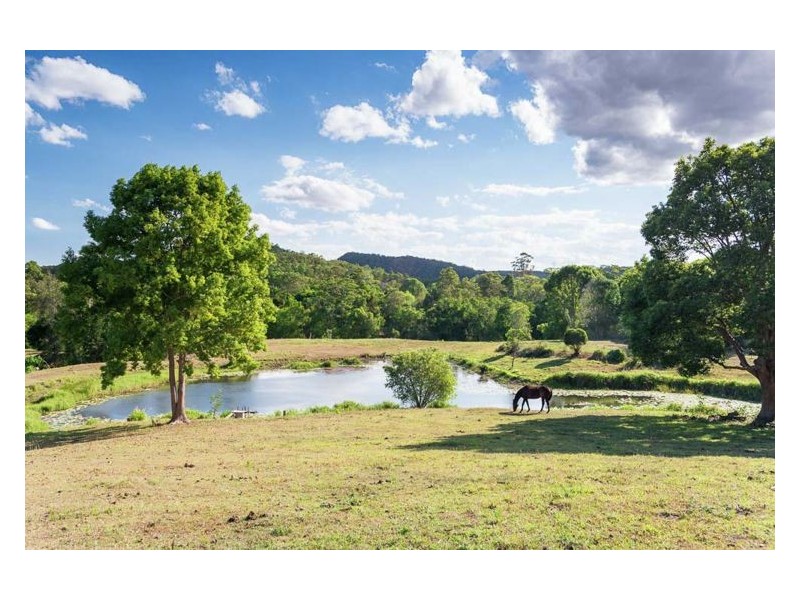 41 Colemans Road, Yandina QLD 4561