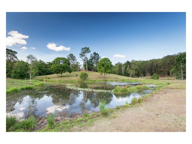41 Colemans Road, Yandina QLD 4561